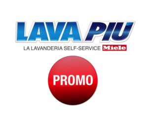 Paket Saisonwechsel PREMIUM